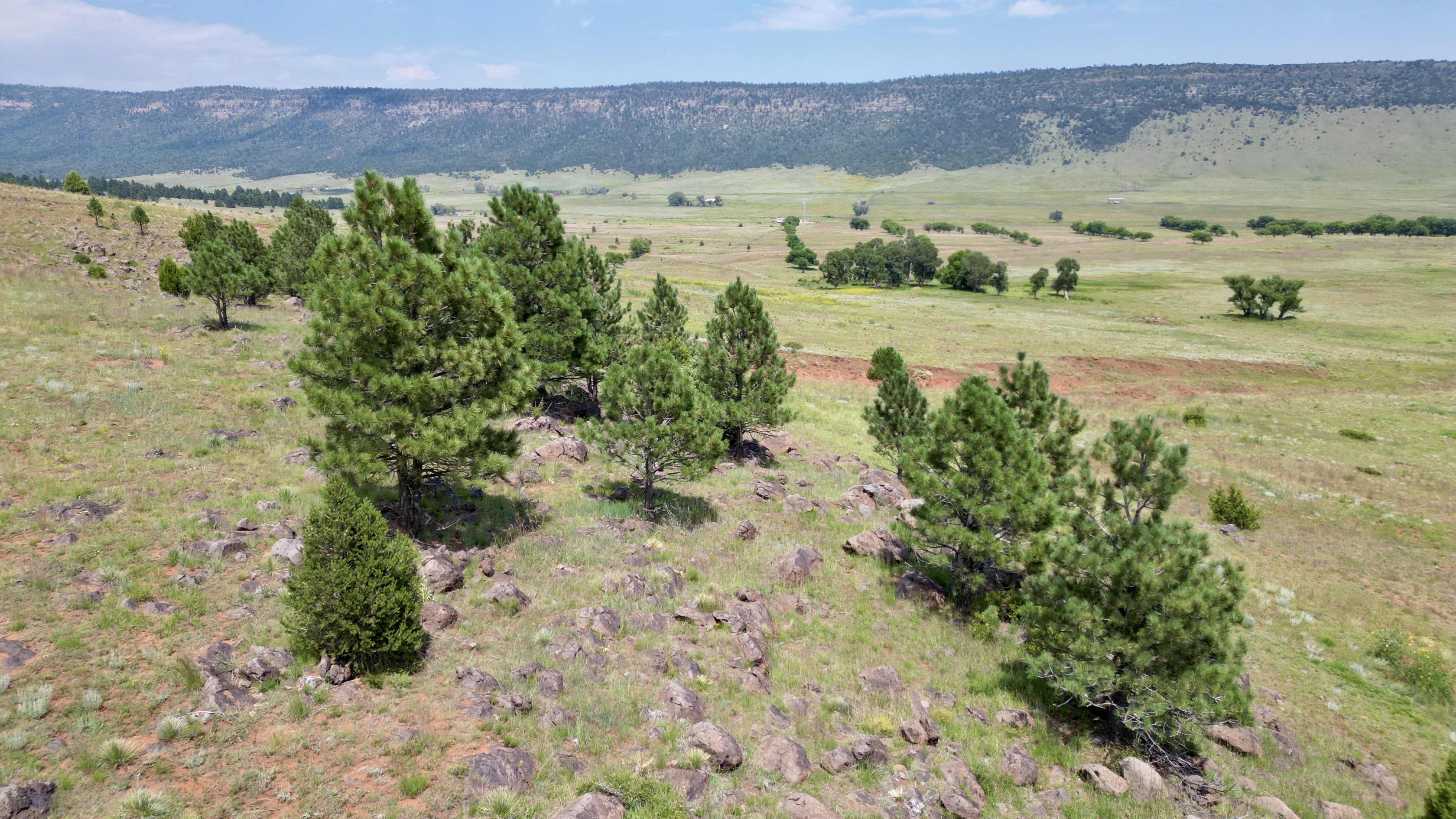 OLC Ranch