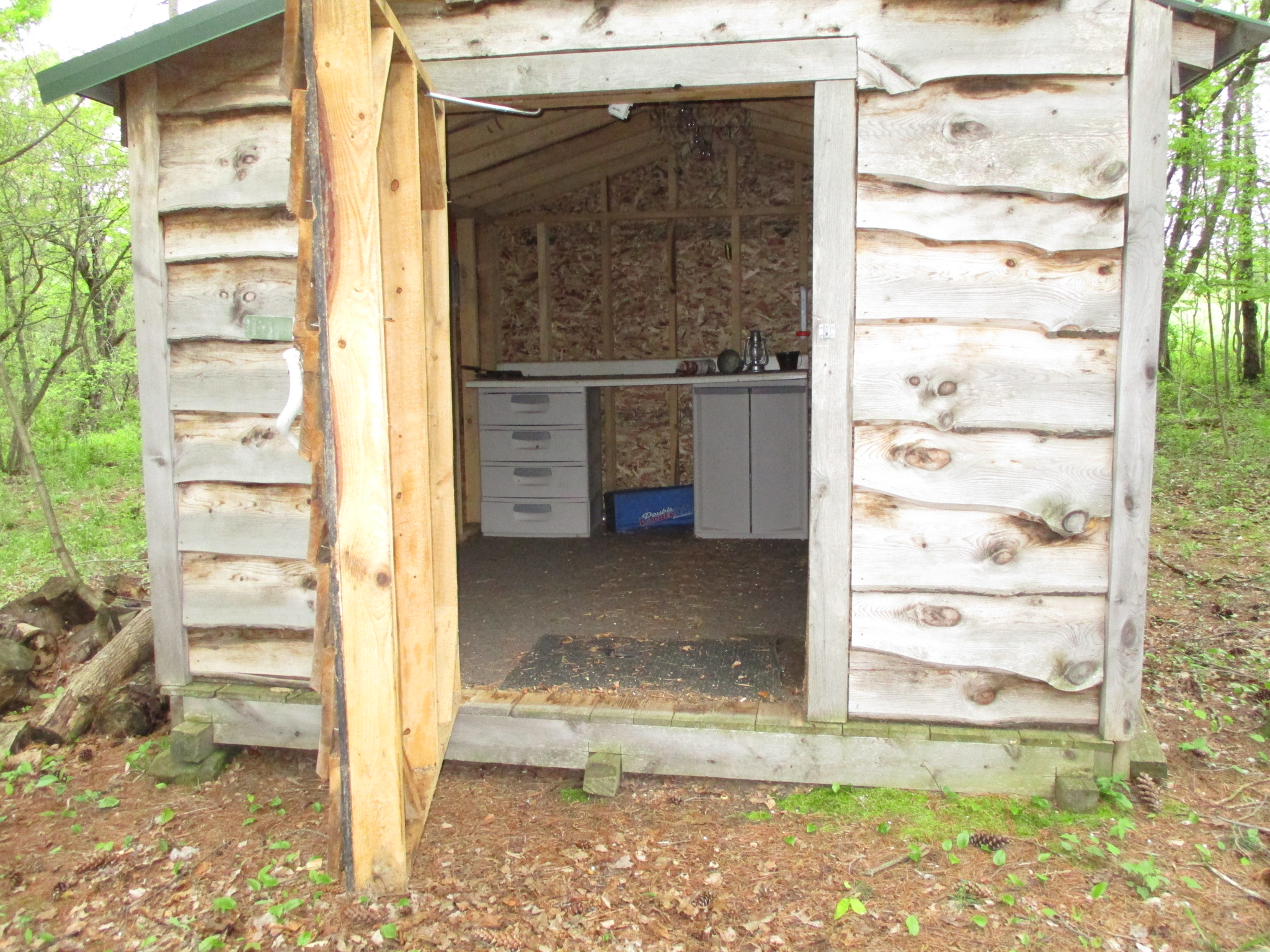 Blank Canvas Cabin