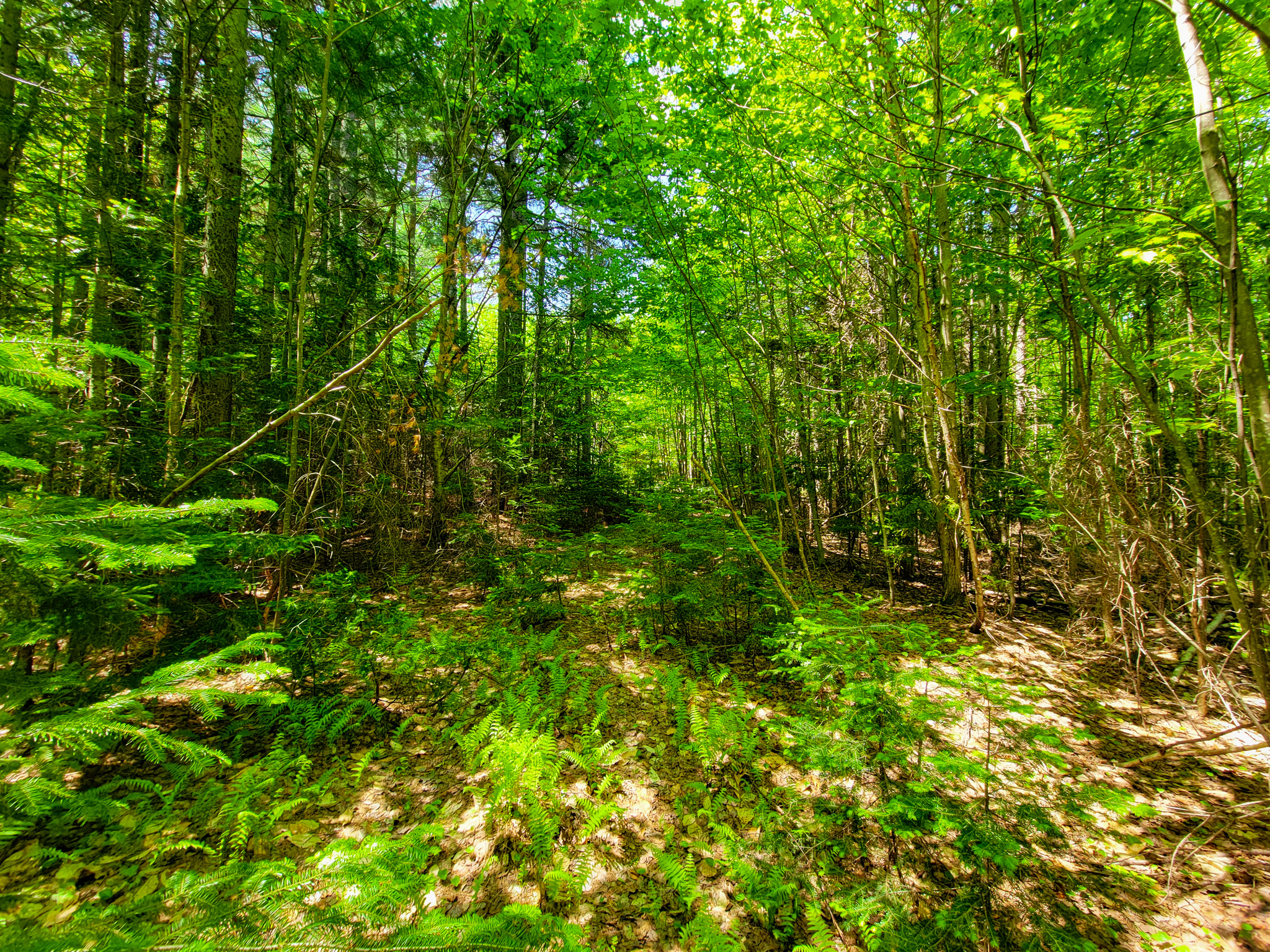 280 Gorham Hill Road - Gorham, NH