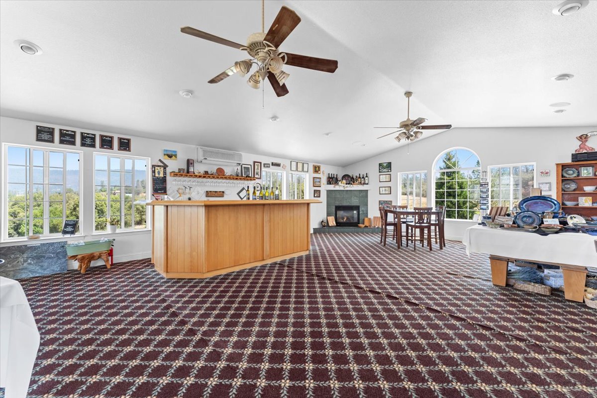 Alger Vineyards and More