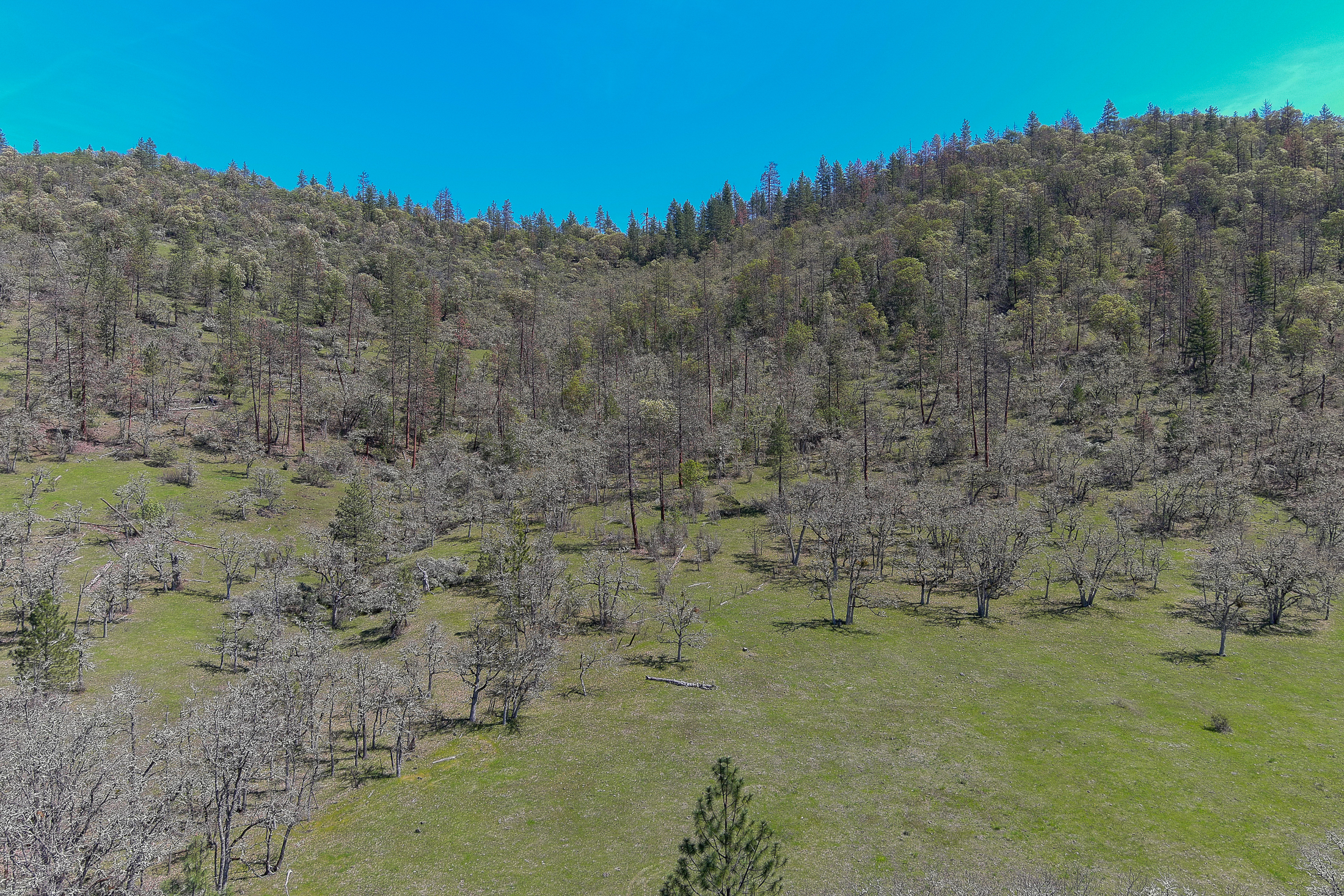 Listing Image 48