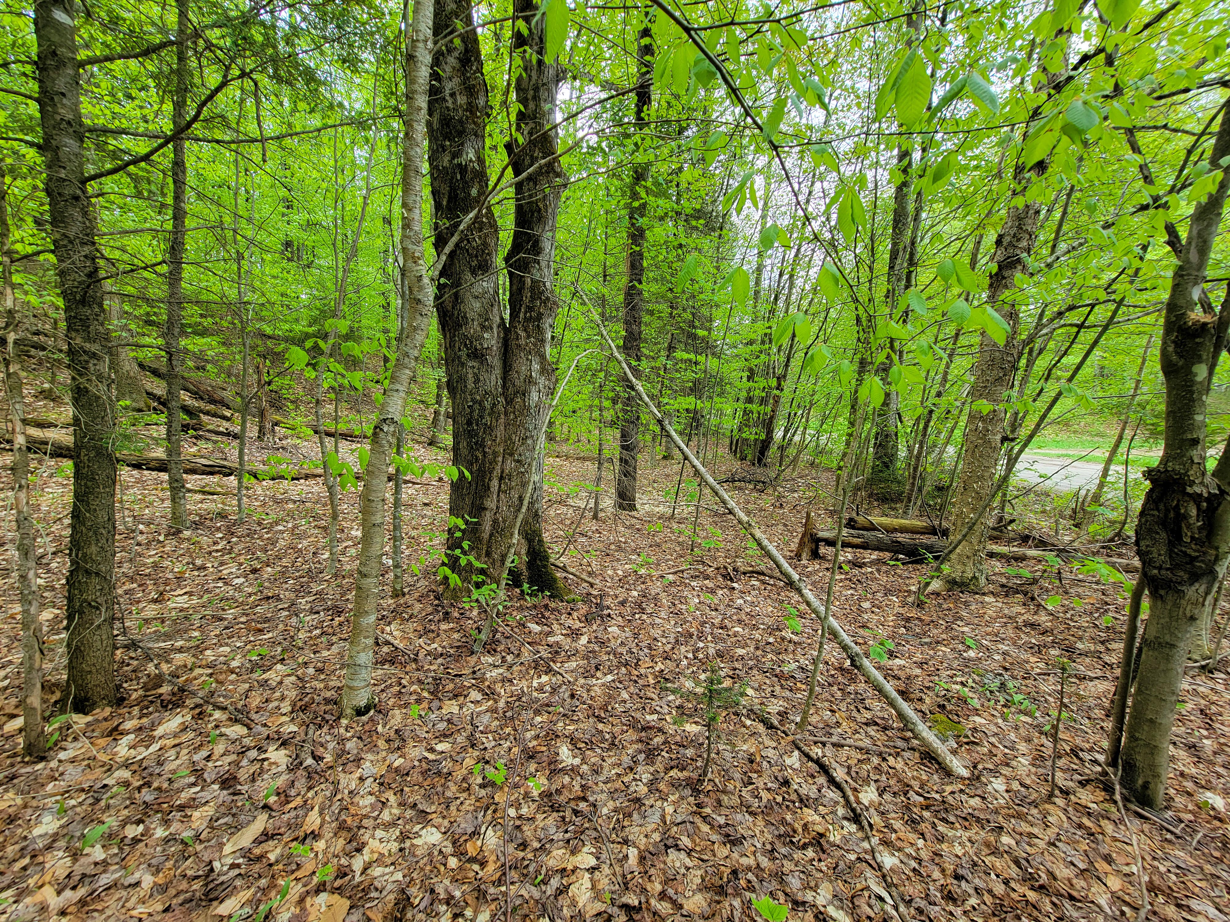 Listing Image 51