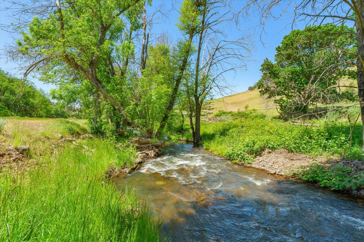 MJ Ranch
