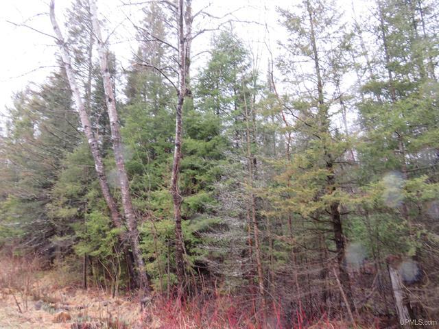 80 Acre Woodland Retreat 50173805