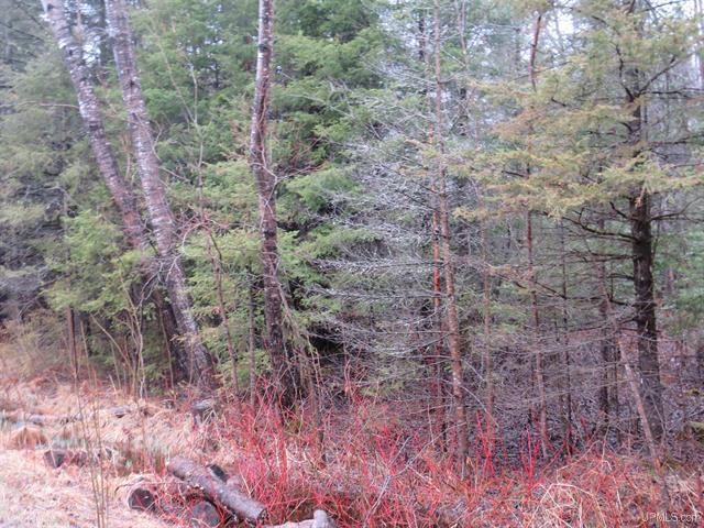 80 Acre Woodland Retreat 50173805