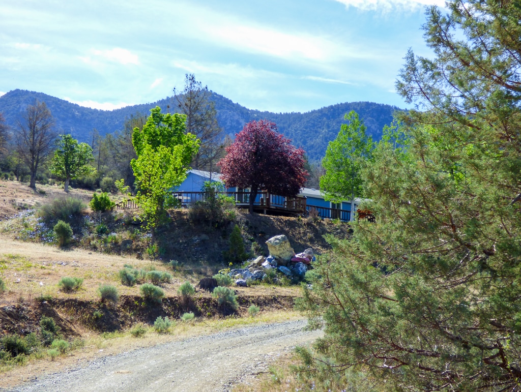 Blacktail Hills Retreat