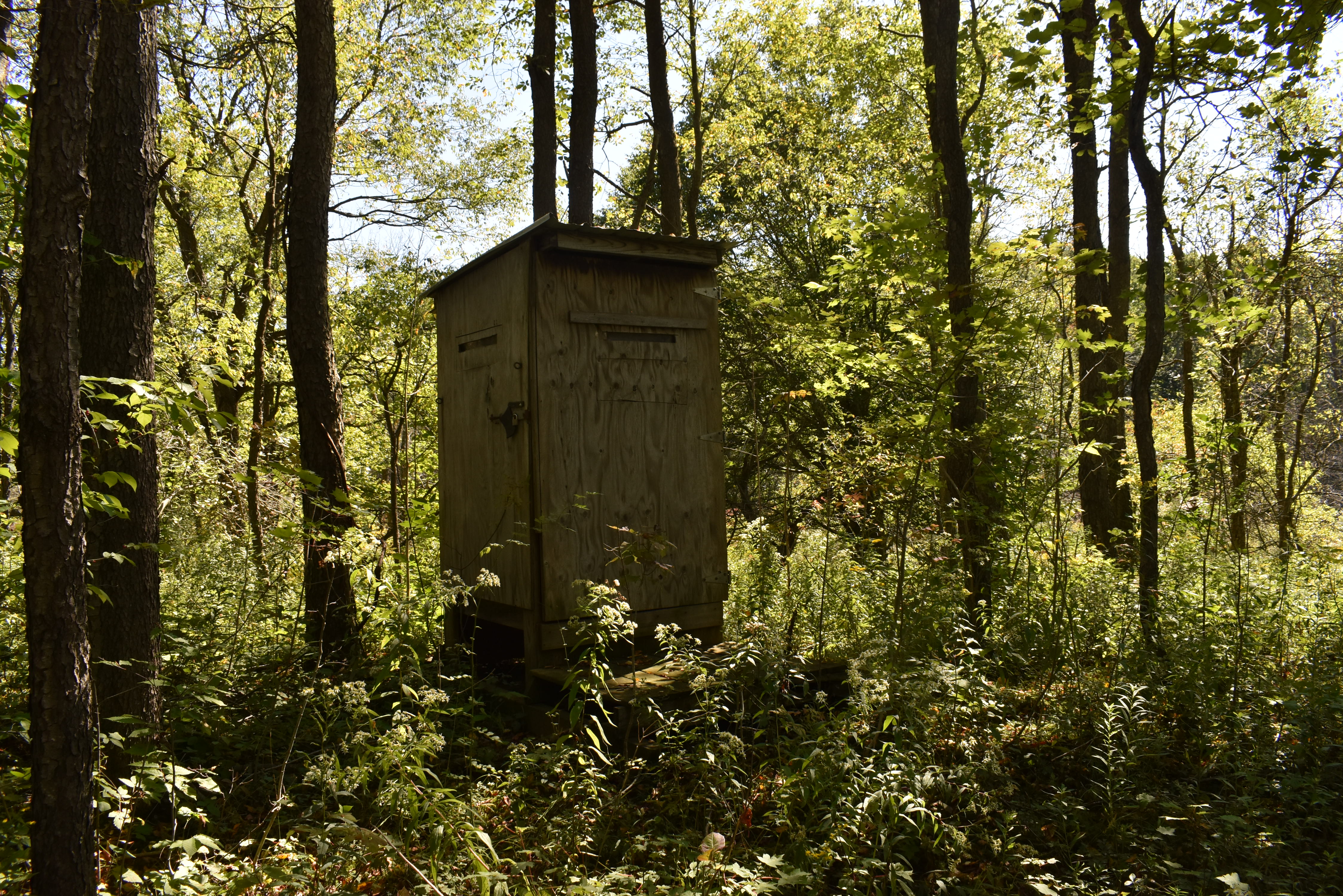 Listing Image 14