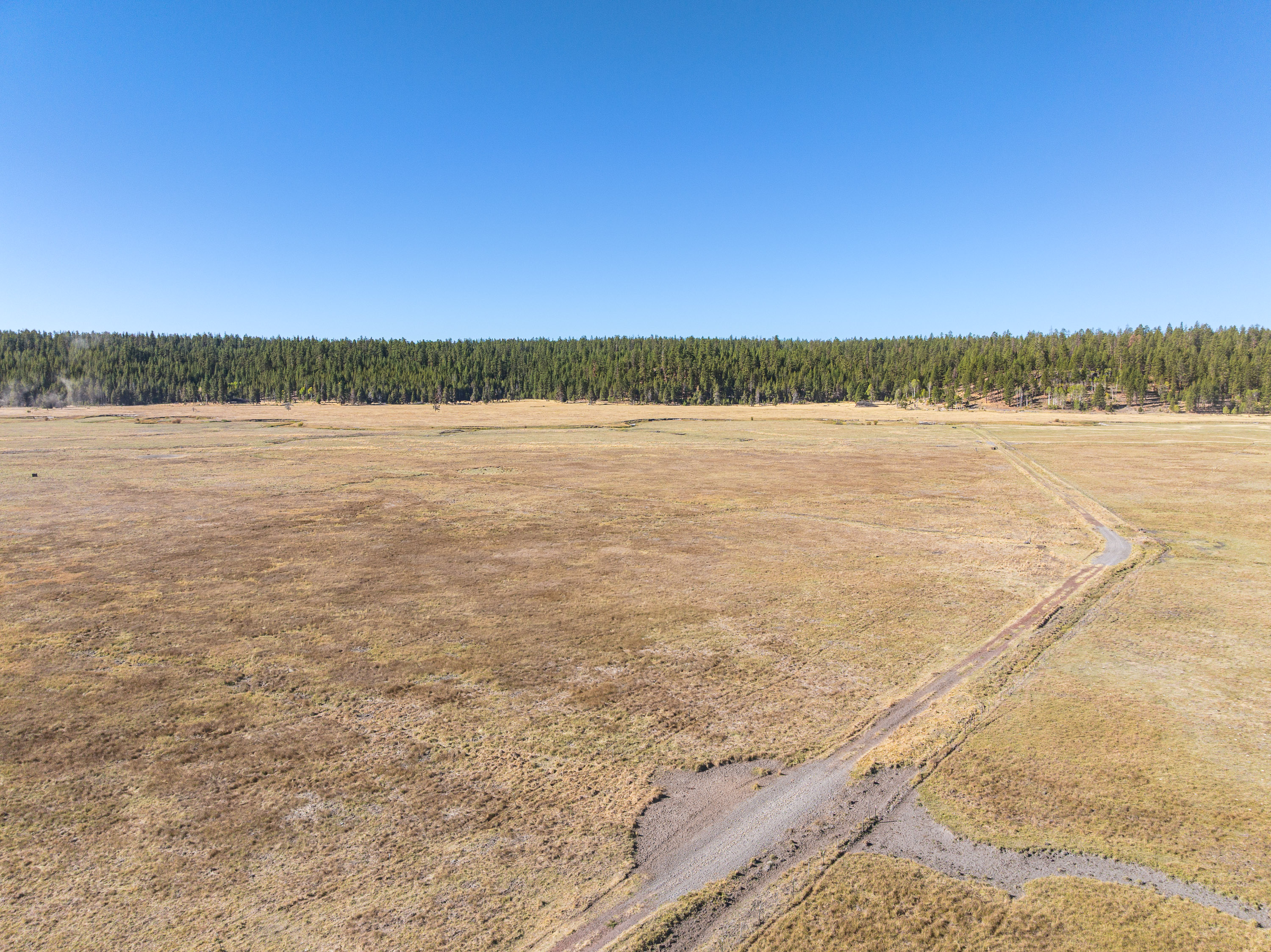 Listing Image 82