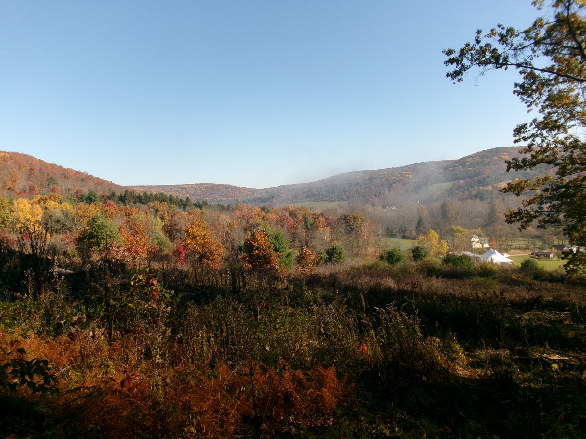 107 acres in Chemung County, NY: hunting land for sale near Chemung, NY