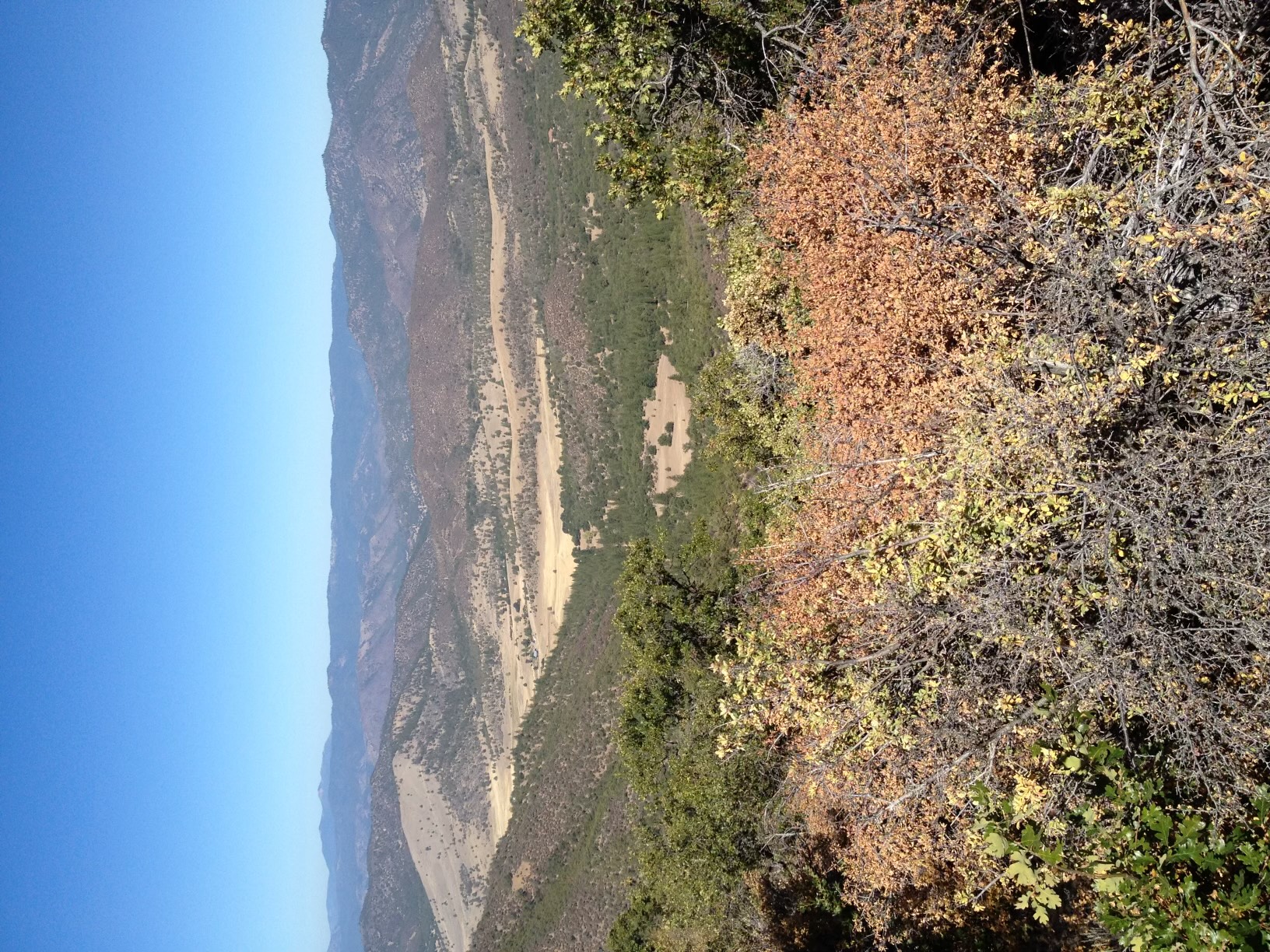 East Road Ragland Gulch Acreage