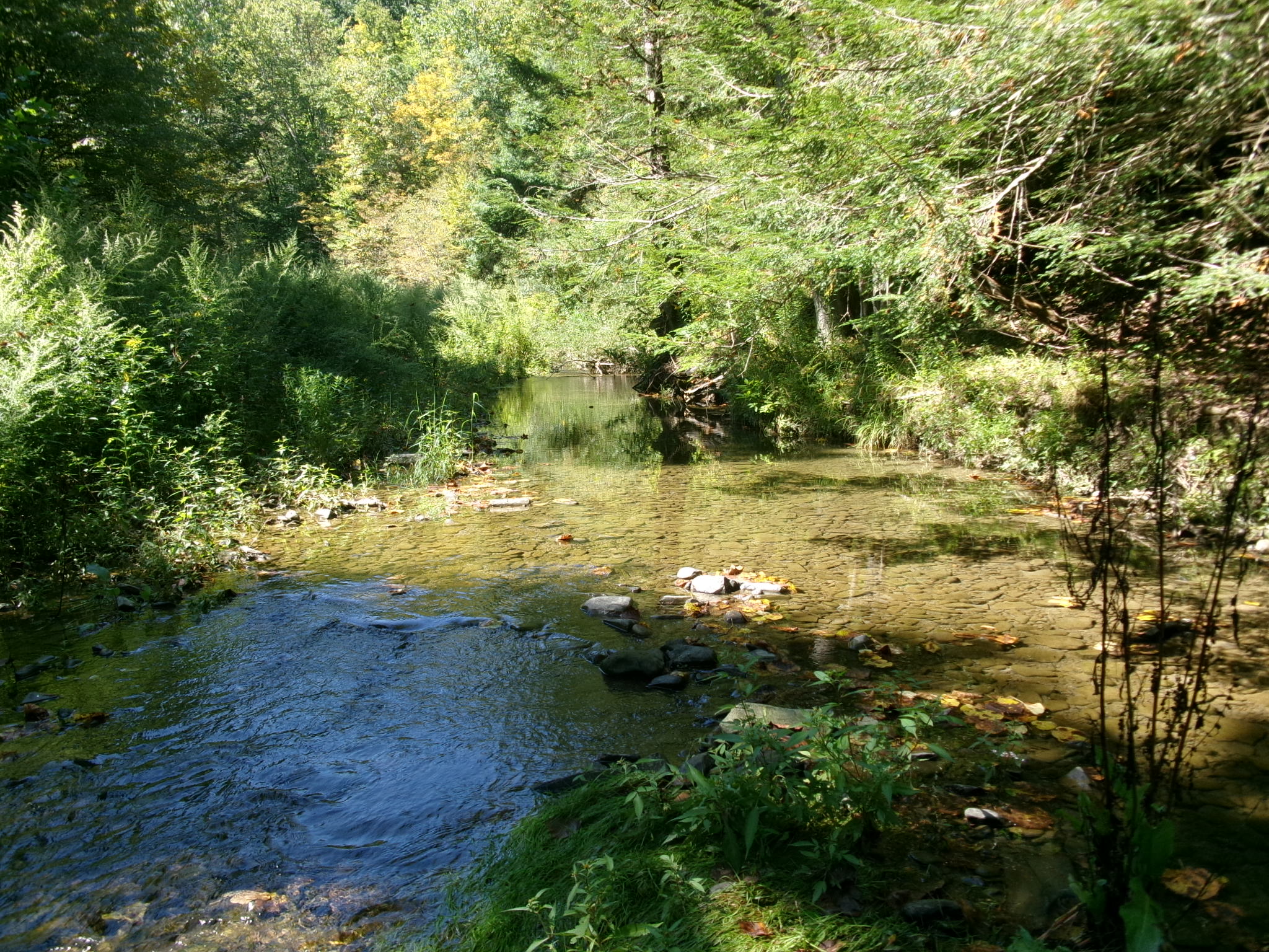 Listing Image 53