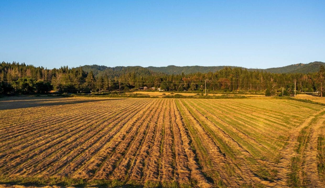 Sauer's Flat Farm & Ranch