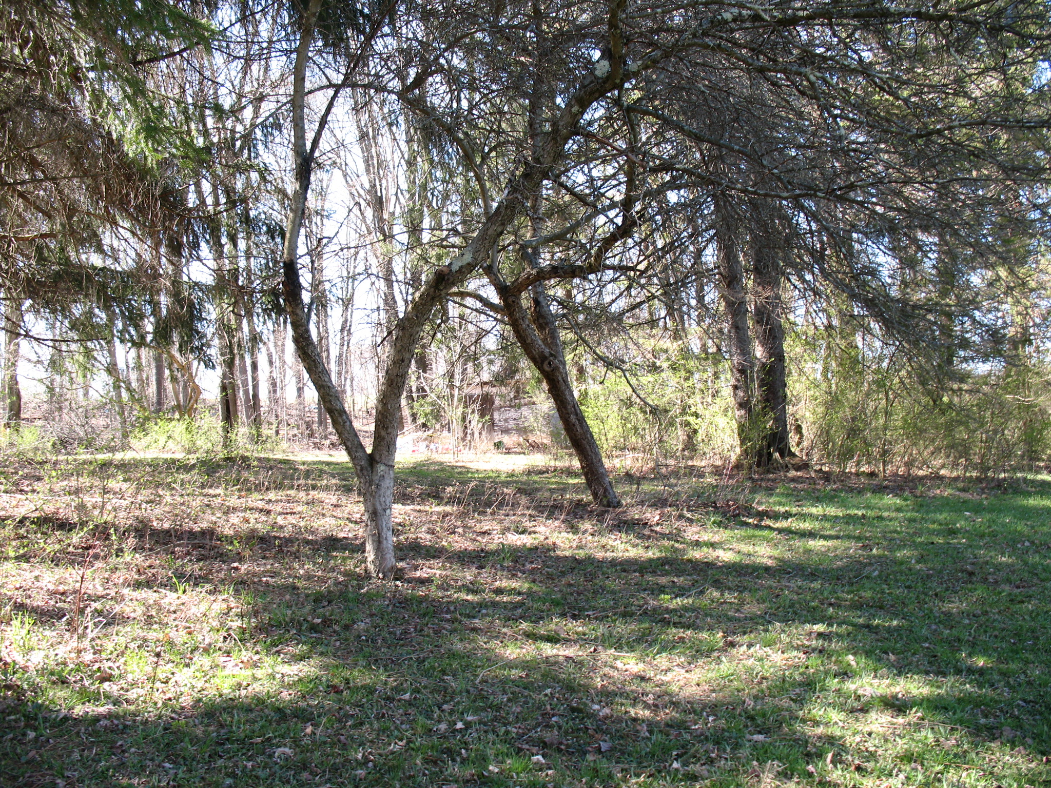 Listing Image 63