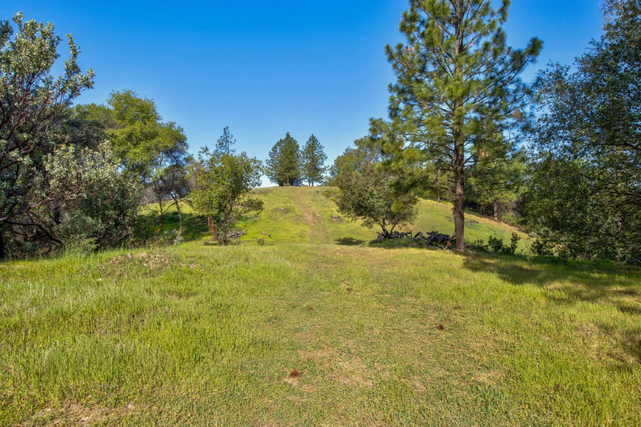 Trembath Mountain Vista