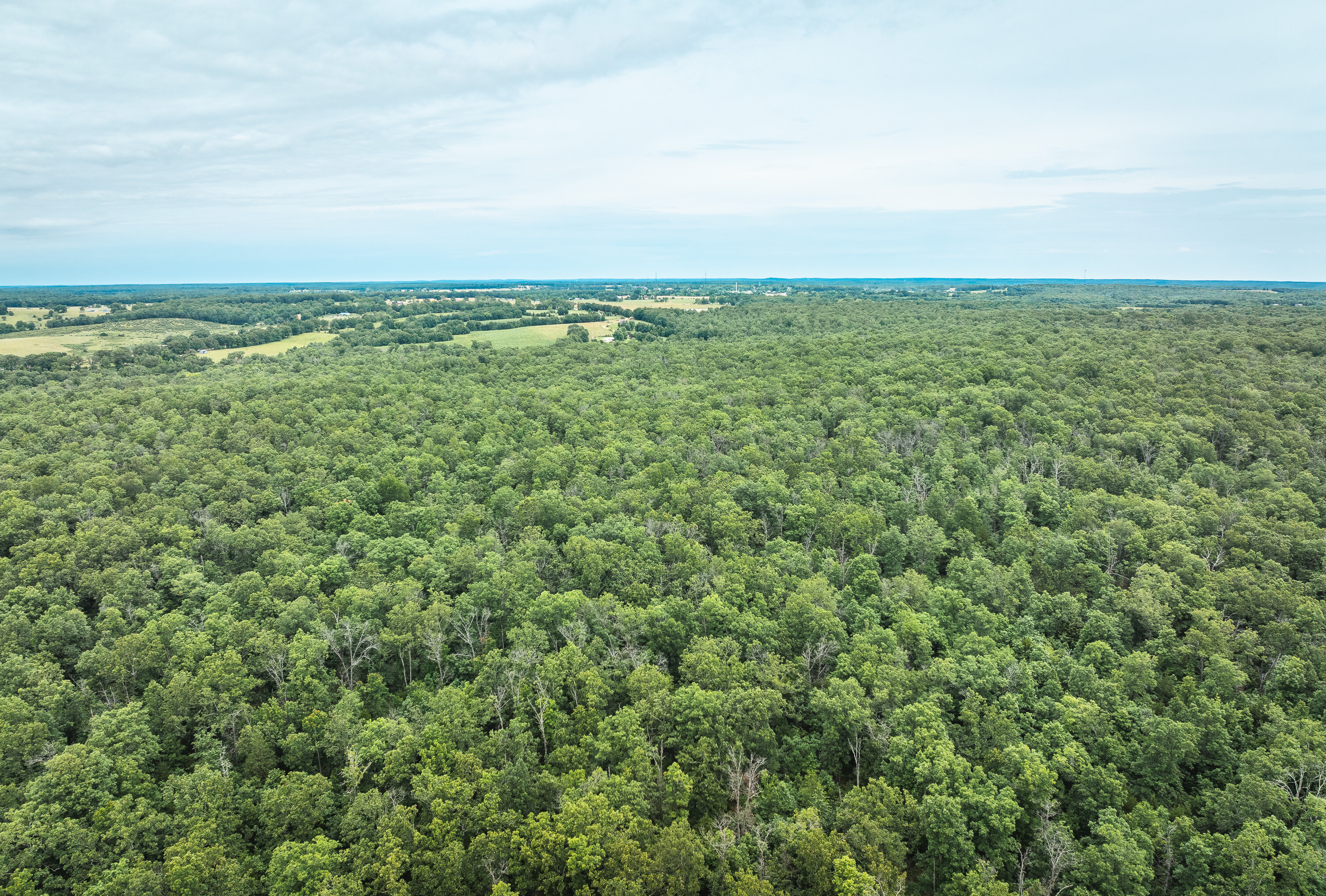 Phelps County Land & Timber 2 Tracts