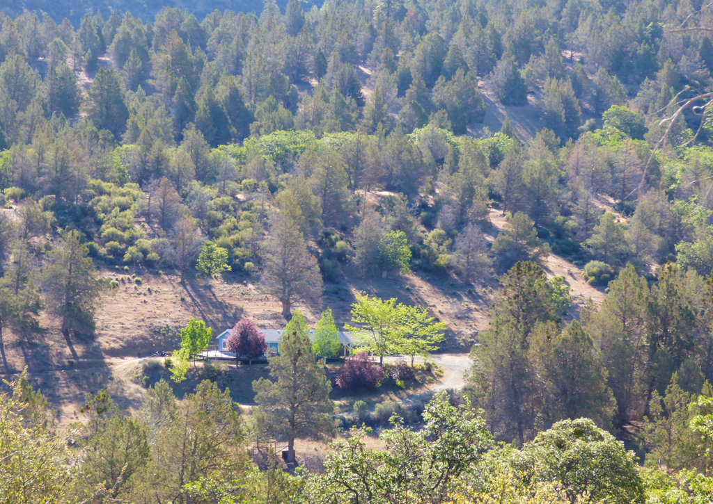 Blacktail Hills Retreat