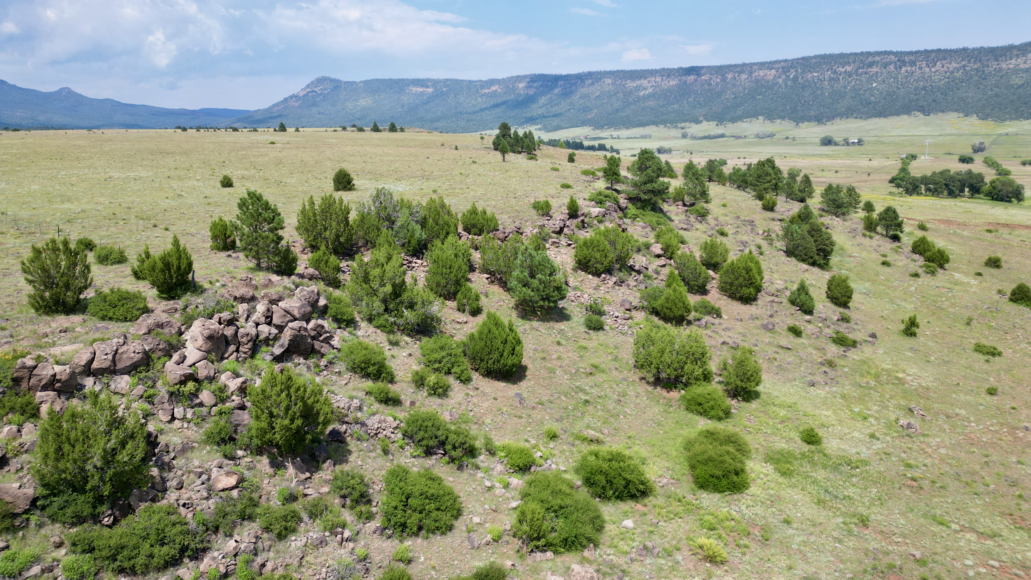 OLC Ranch