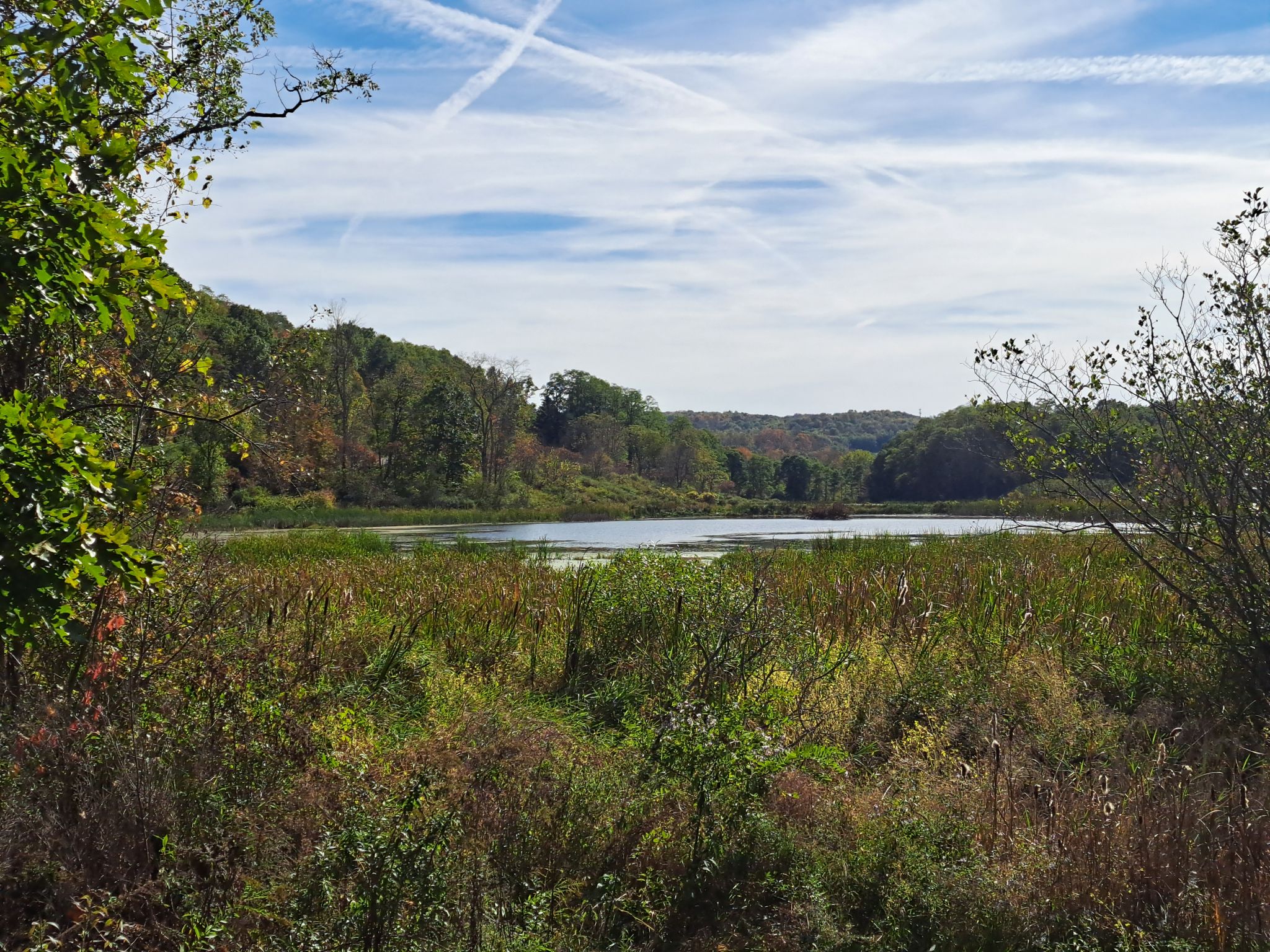 Listing Image 80
