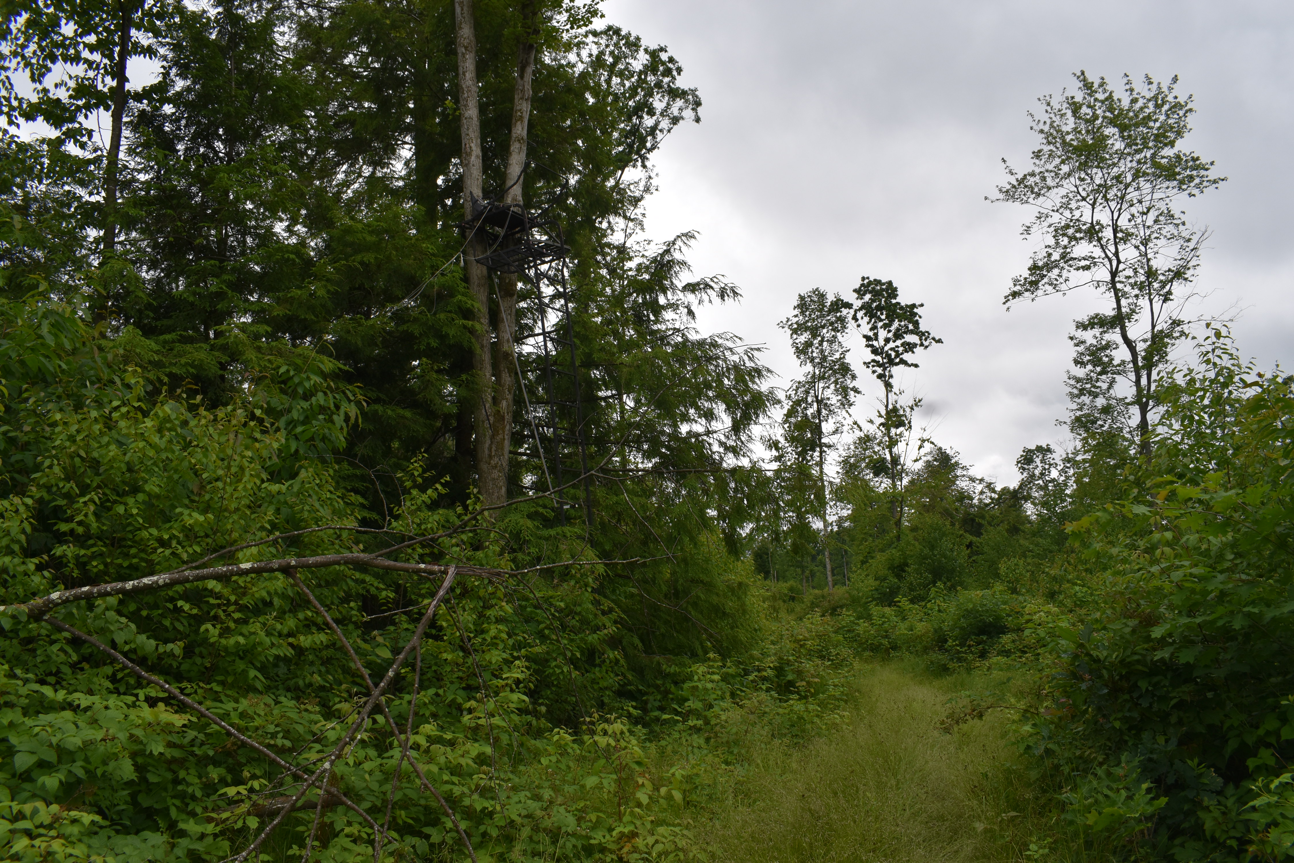 Listing Image 19