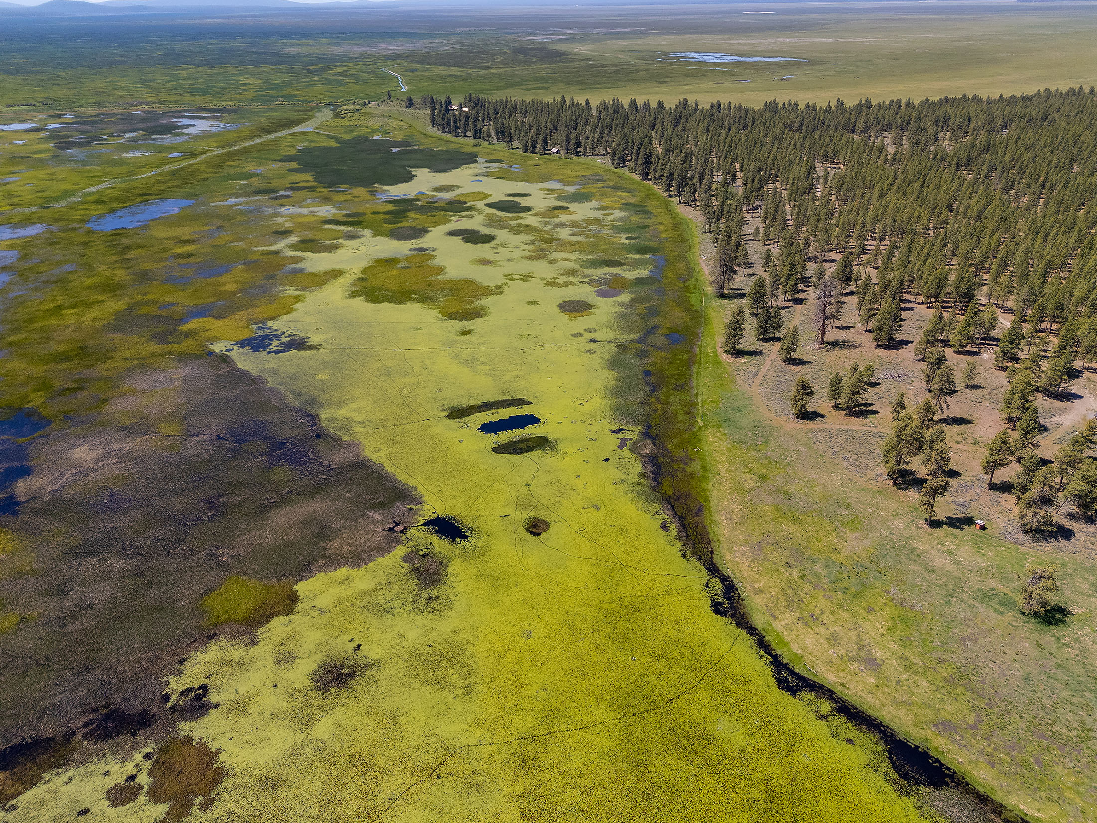 Klamath Marsh Retreat