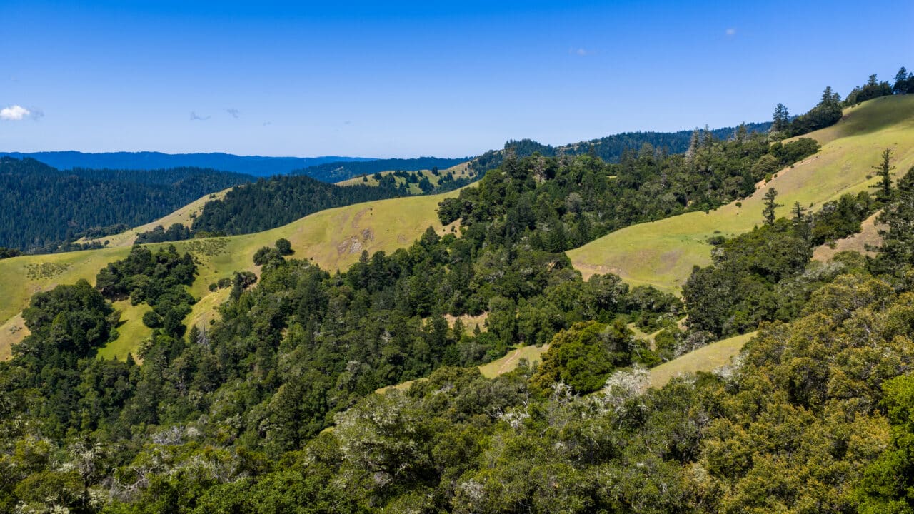 Listing Image 53