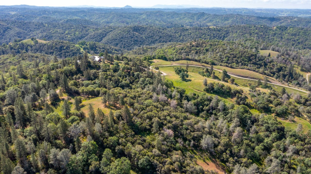 Trembath Mountain Vista