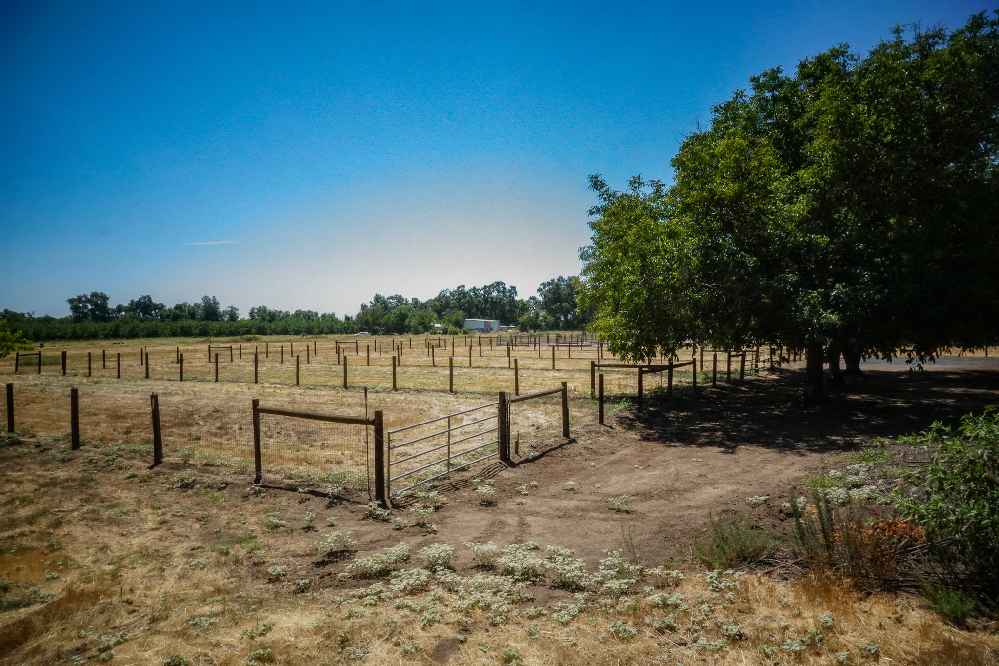 Woodard Ranch
