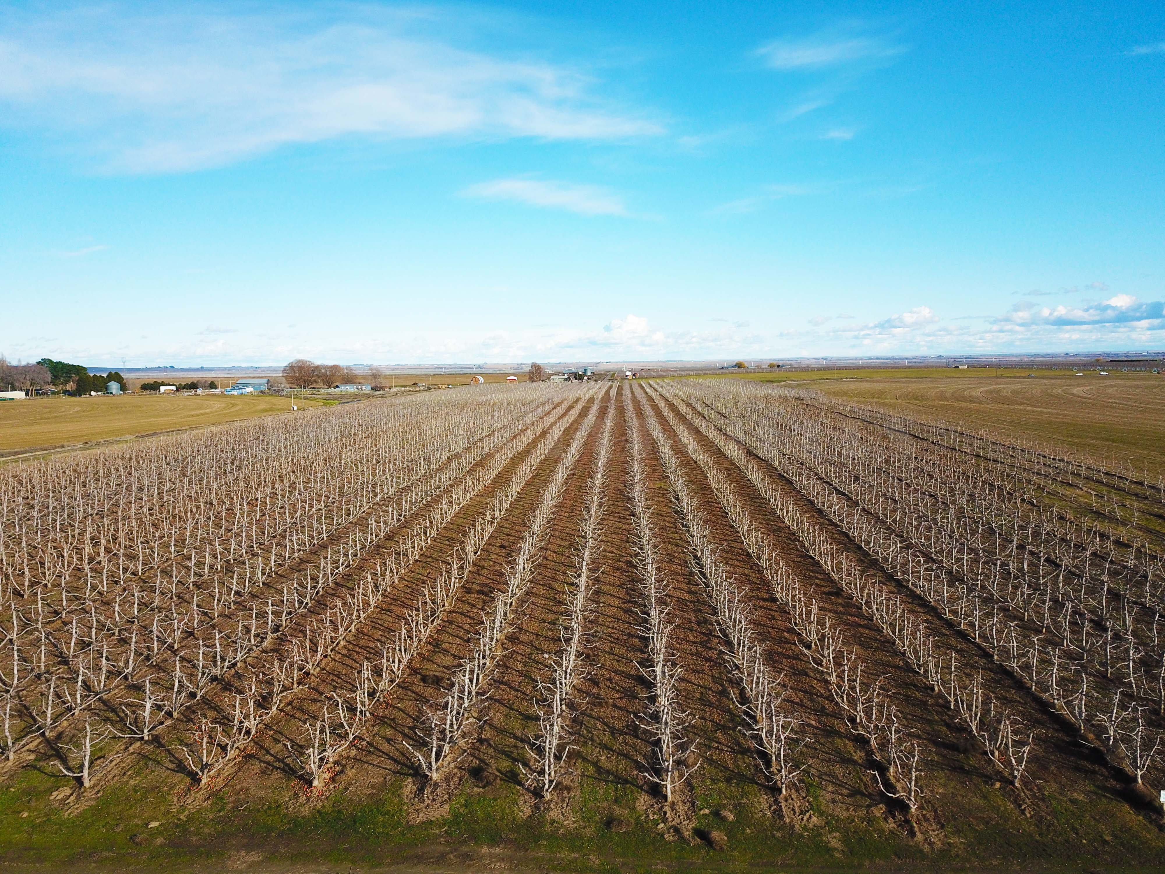 Fern Road Irrigated farm