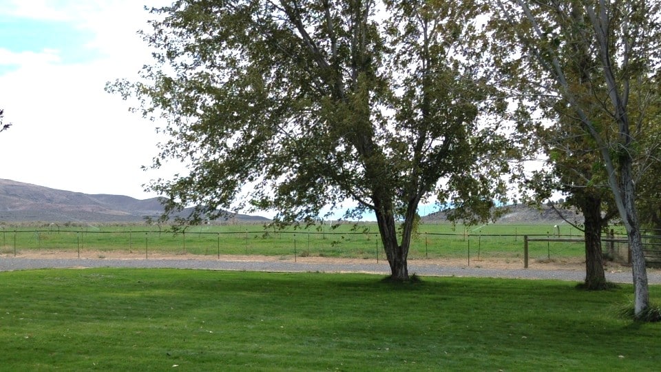 Listing Image 70