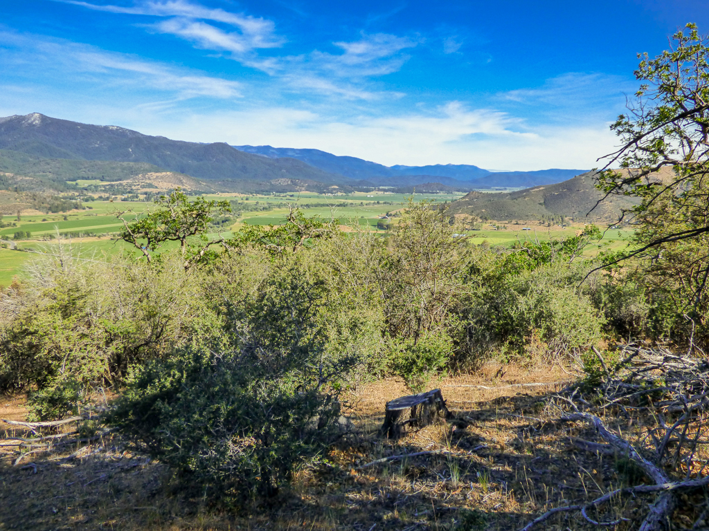 Blacktail Hills Retreat