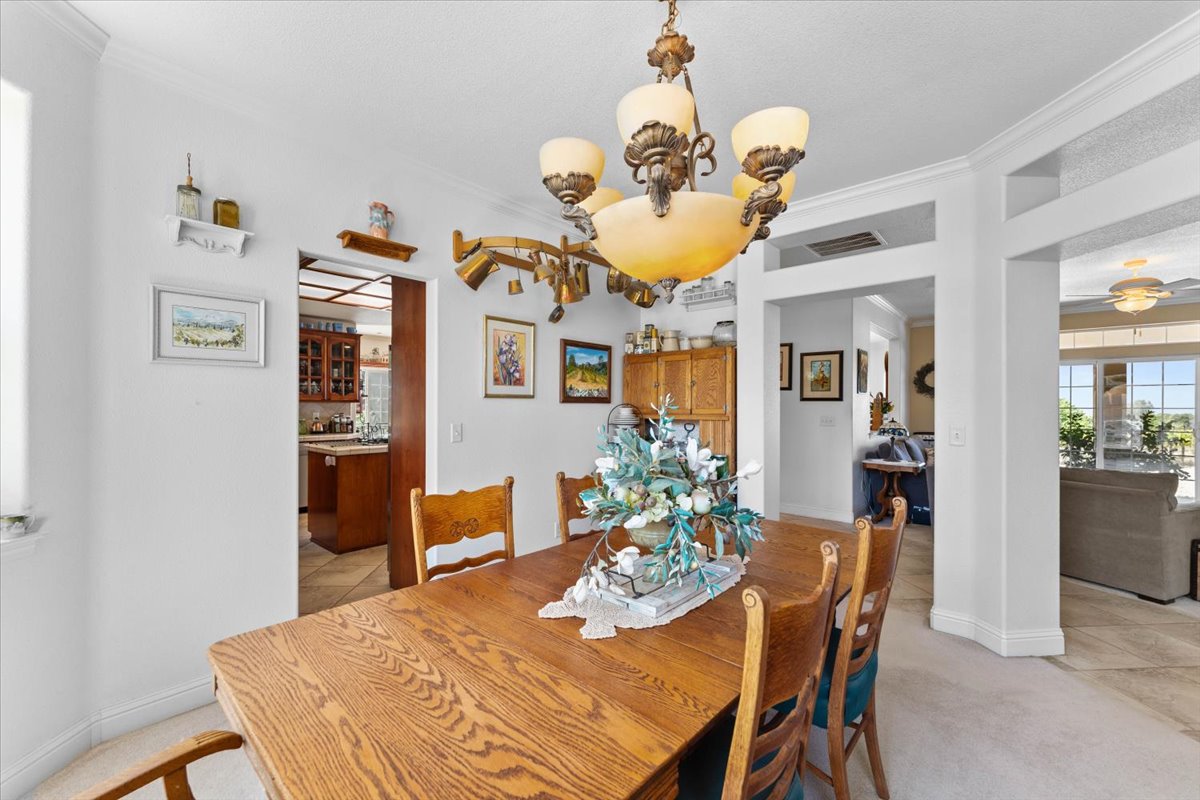 Alger Vineyards and More