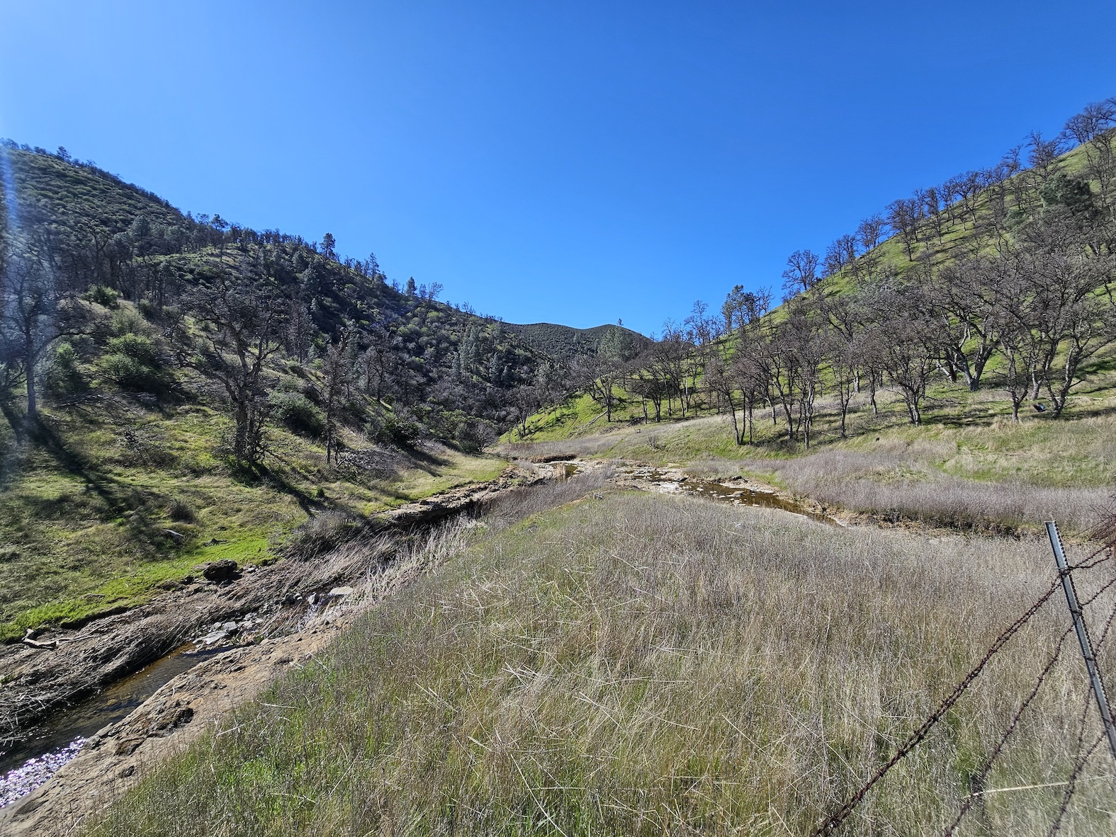 Lake County Ranch