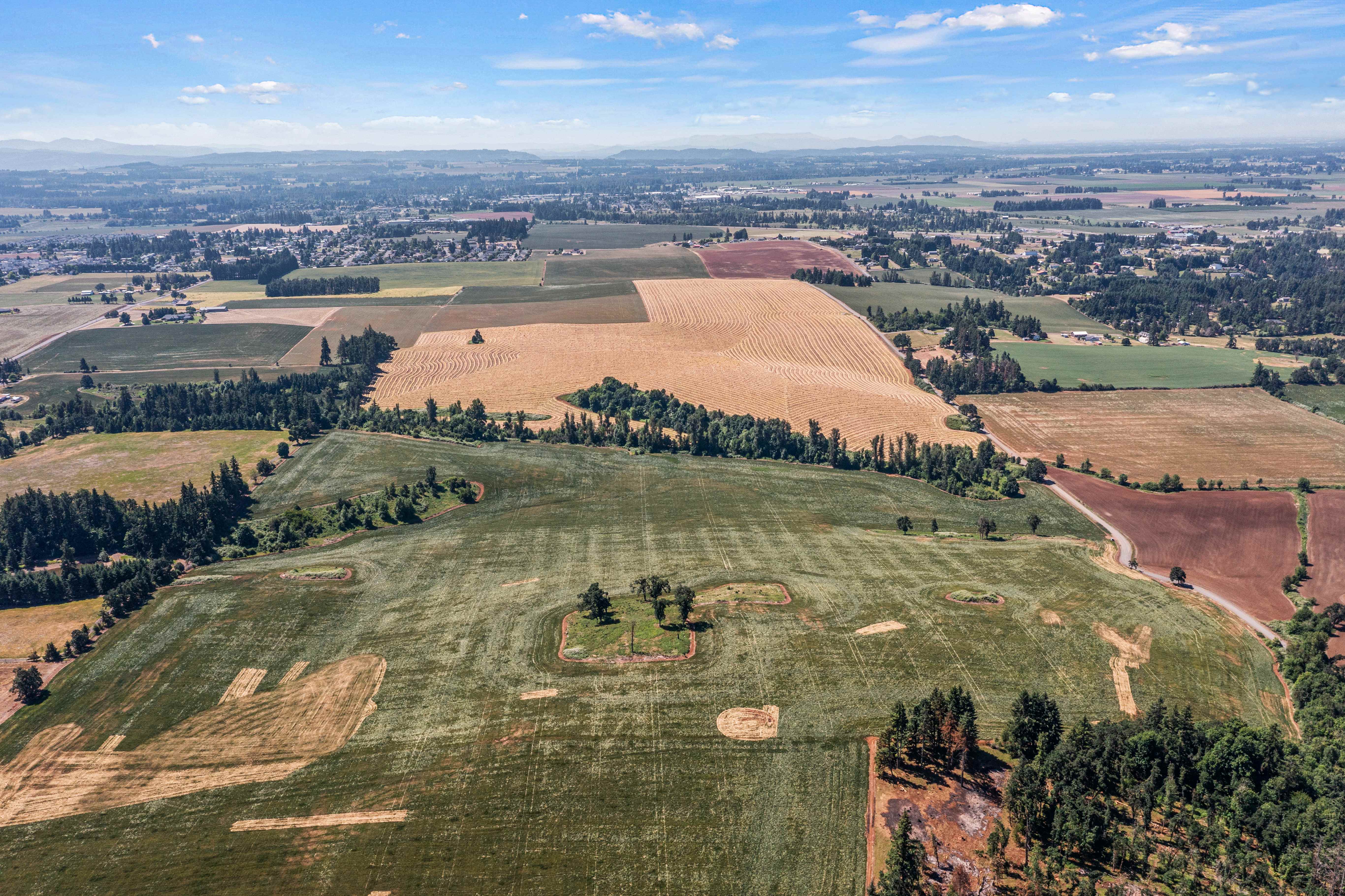 Sublimity 152 — Productive Willamette Valley Farm for Sale with Creek Frontage and Homesite Potential