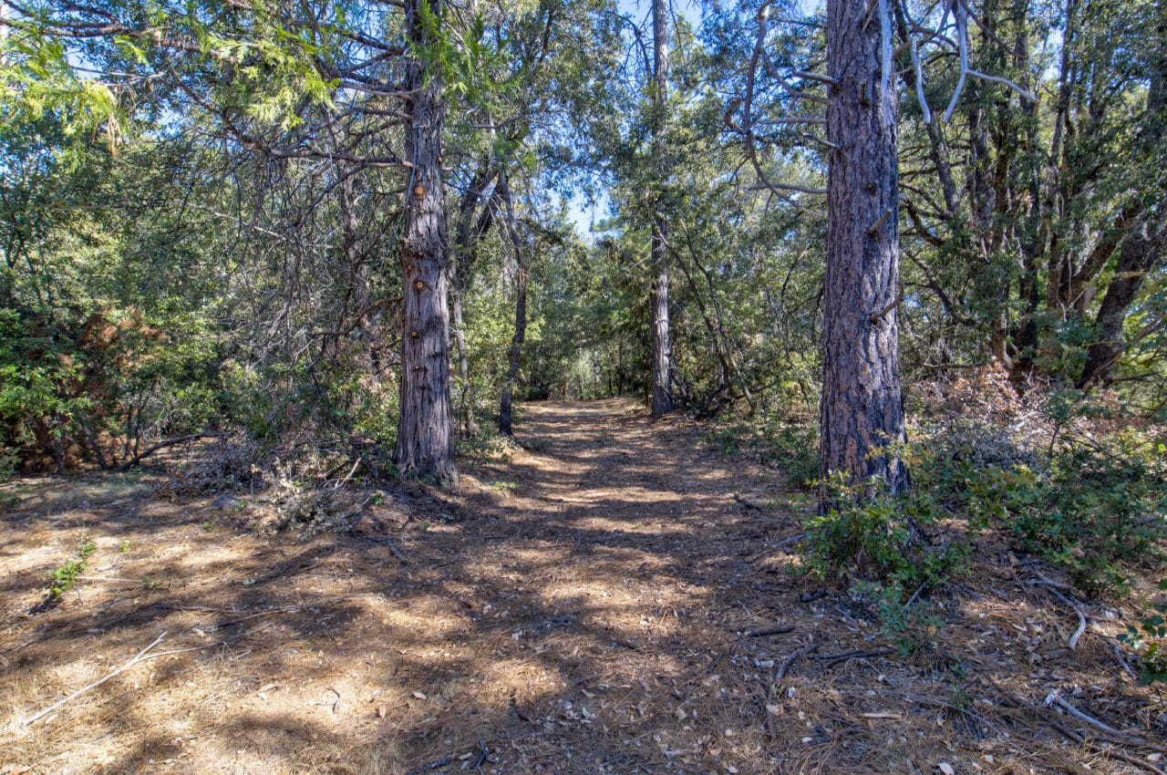 Listing Image 57
