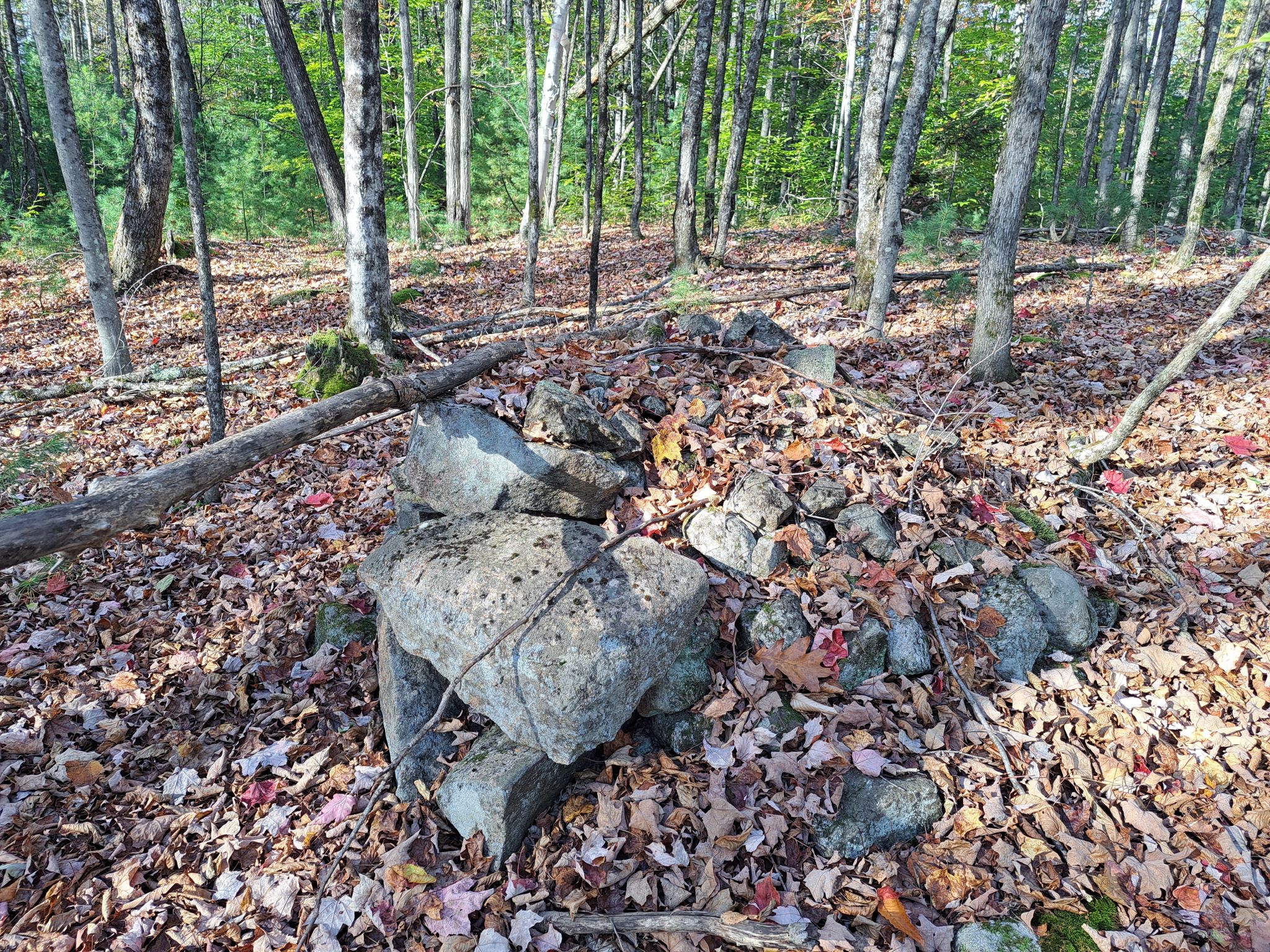 Hudson River Woods & Water