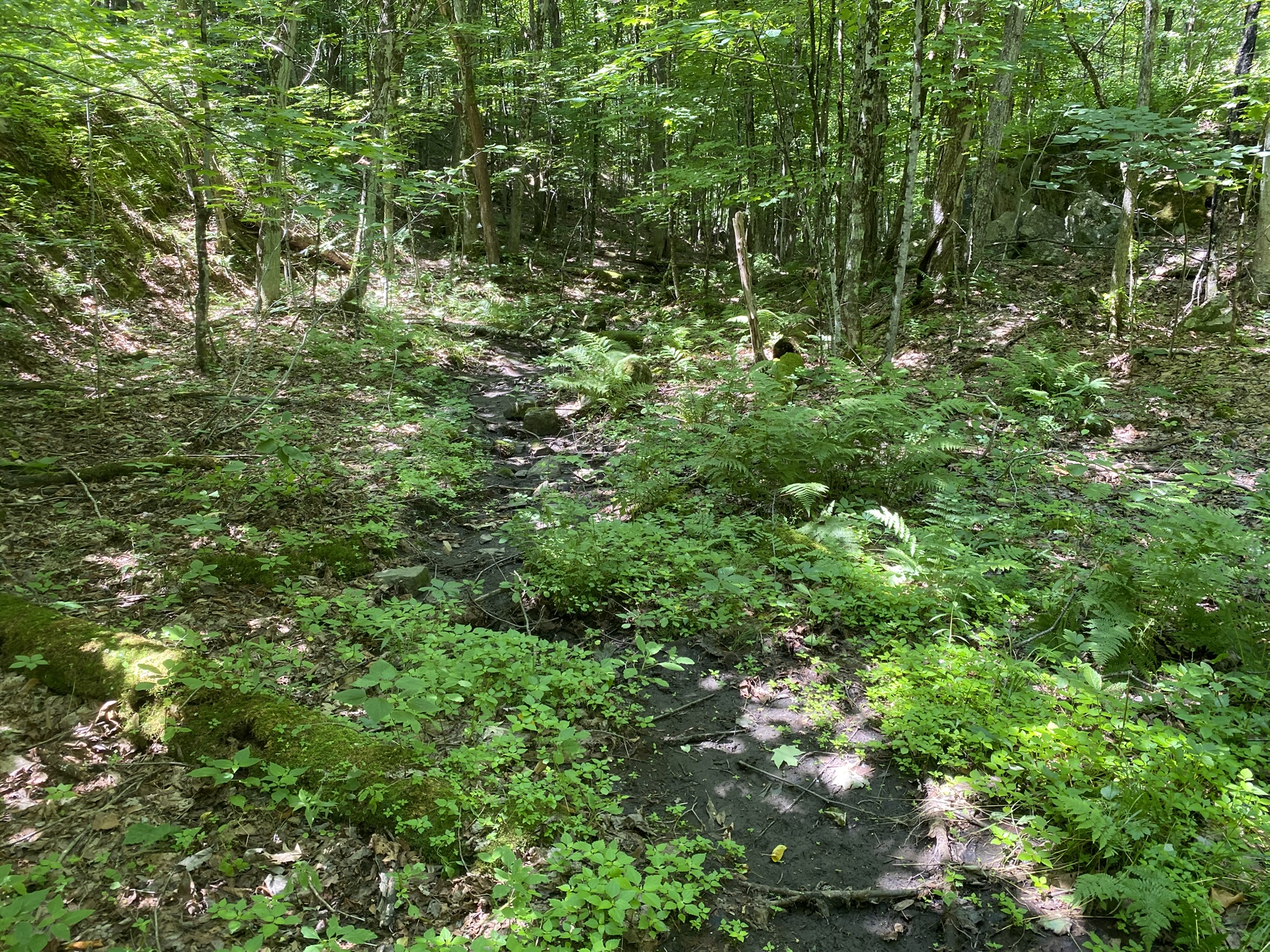 Listing Image 65