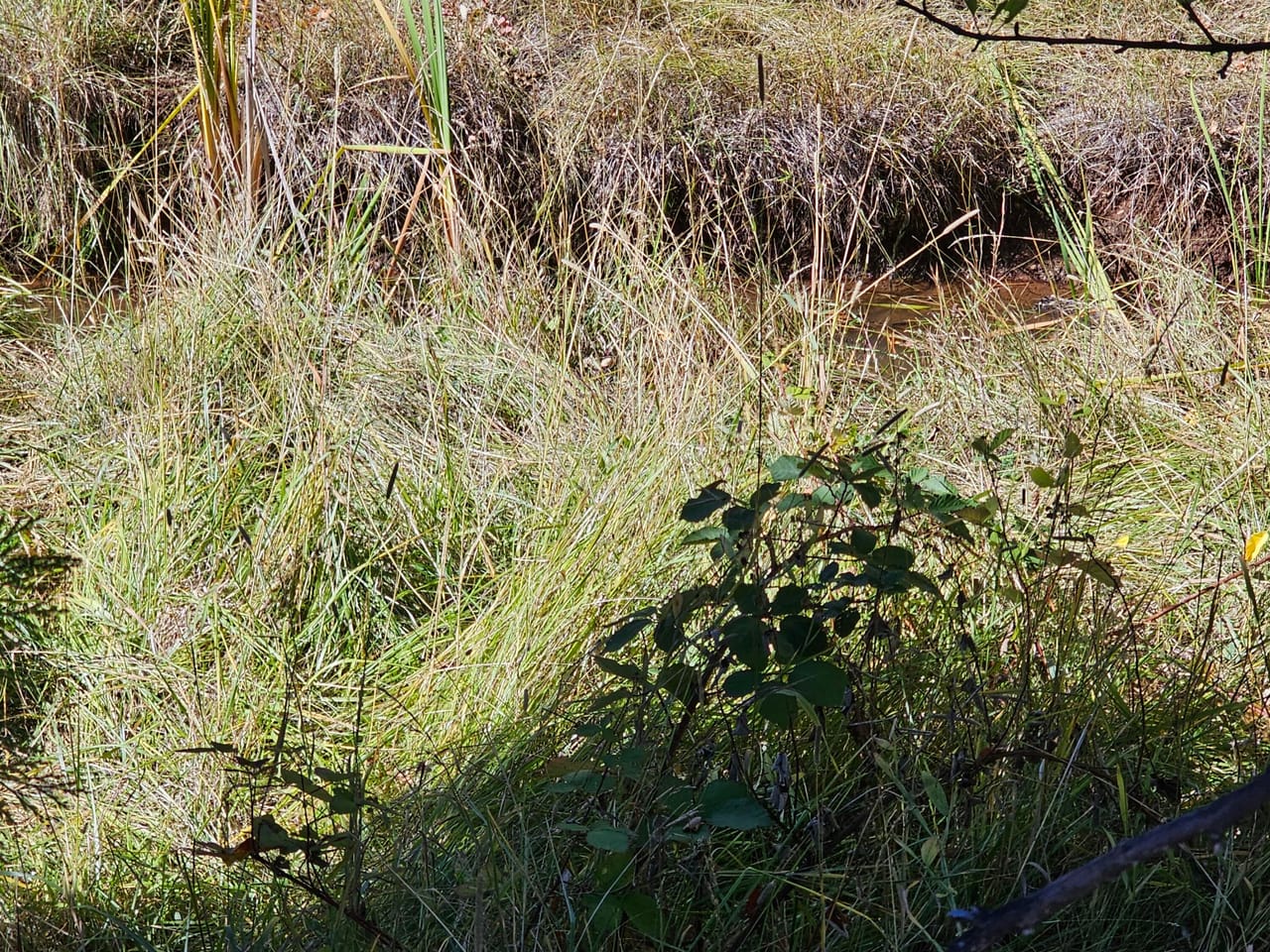 Listing Image 35