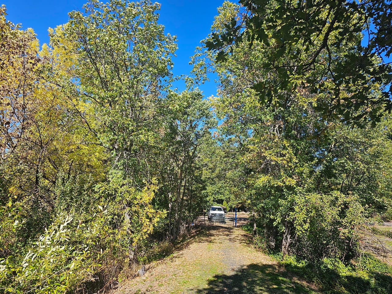 Listing Image 41