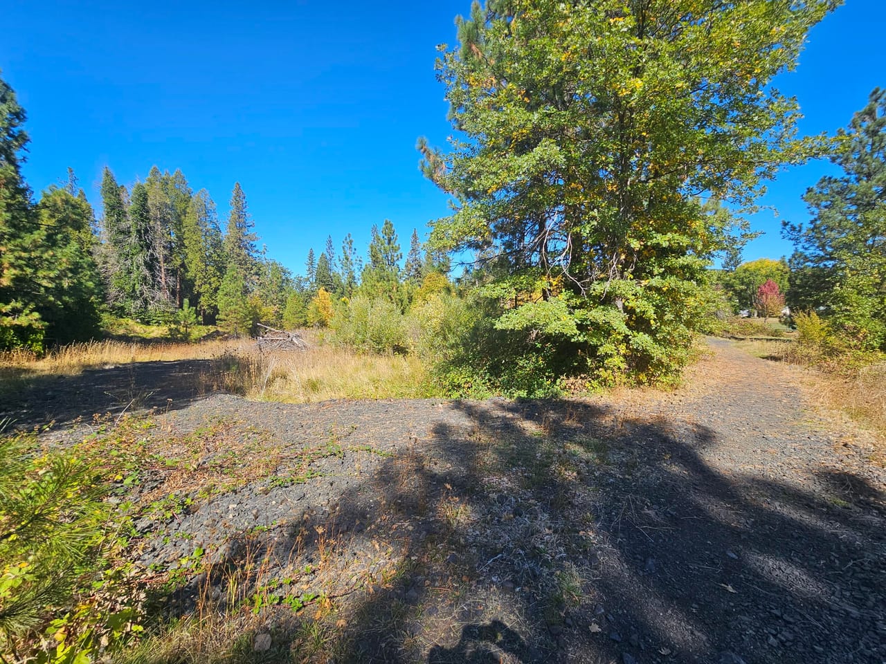 Listing Image 43