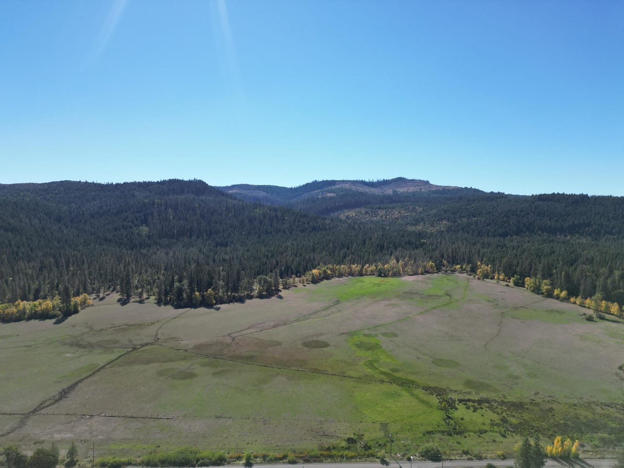 Listing Image 29
