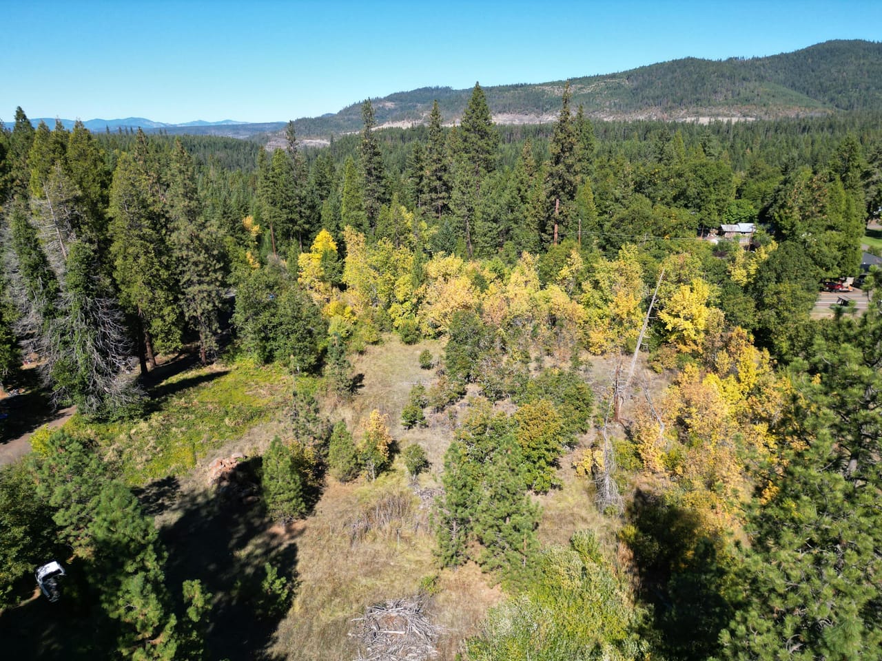 Listing Image 33