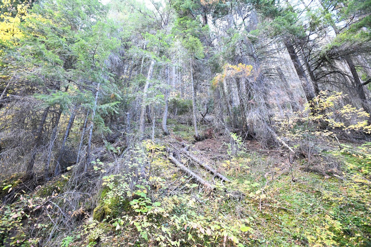 Listing Image 6