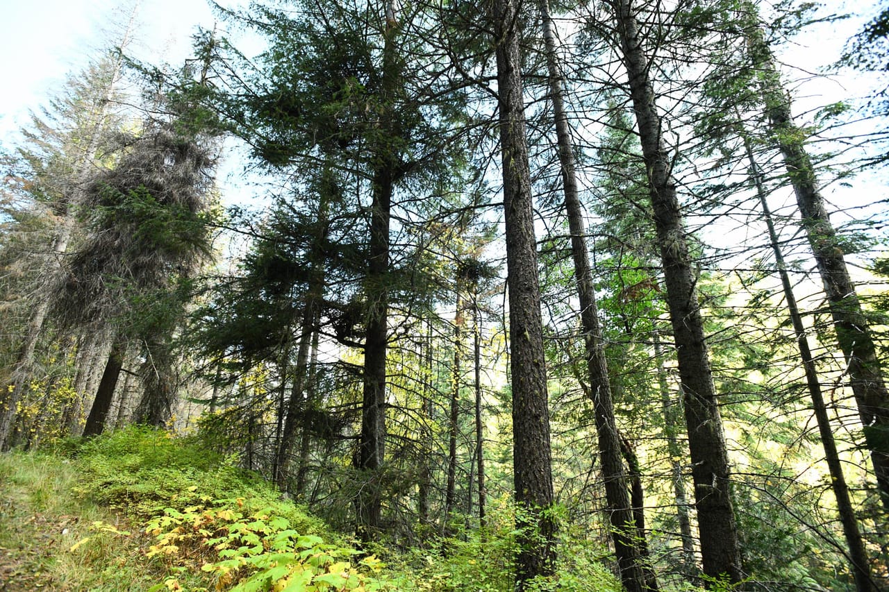Listing Image 9