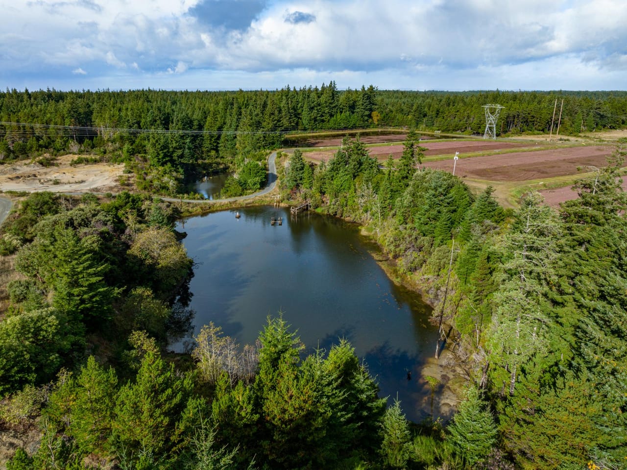 Listing Image 12