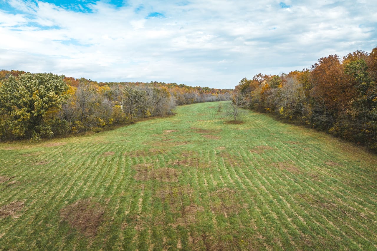 Listing Image 80