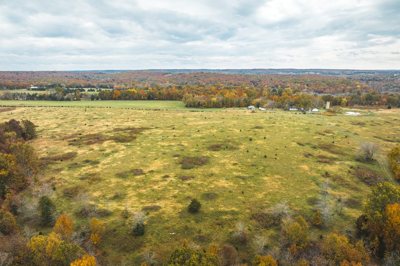 Listing Image 81