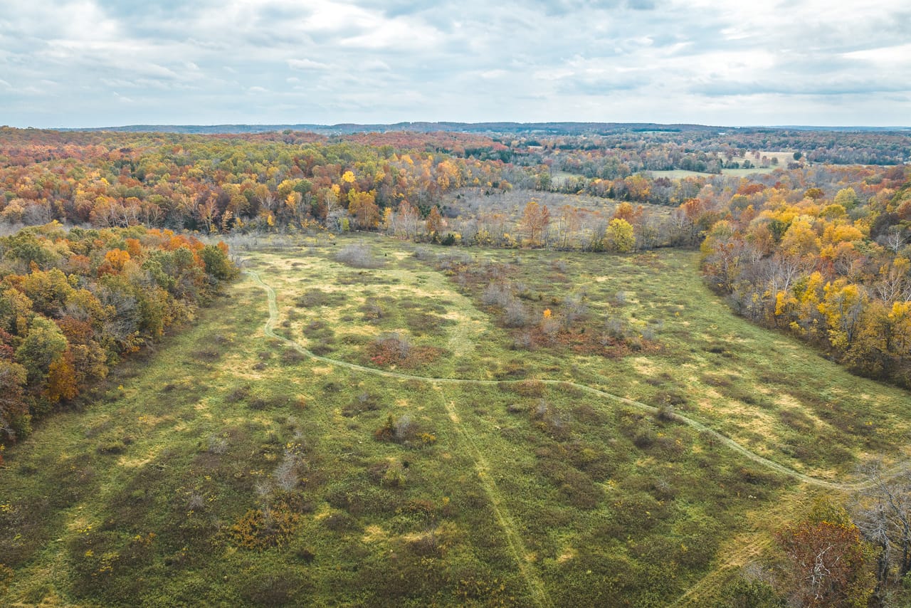 Listing Image 82