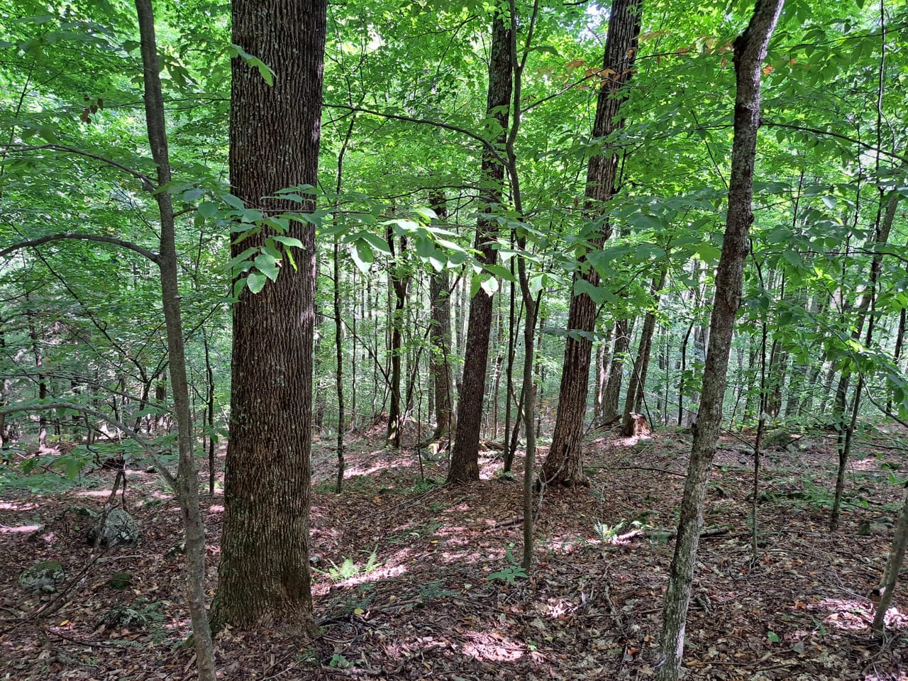 Listing Image 9