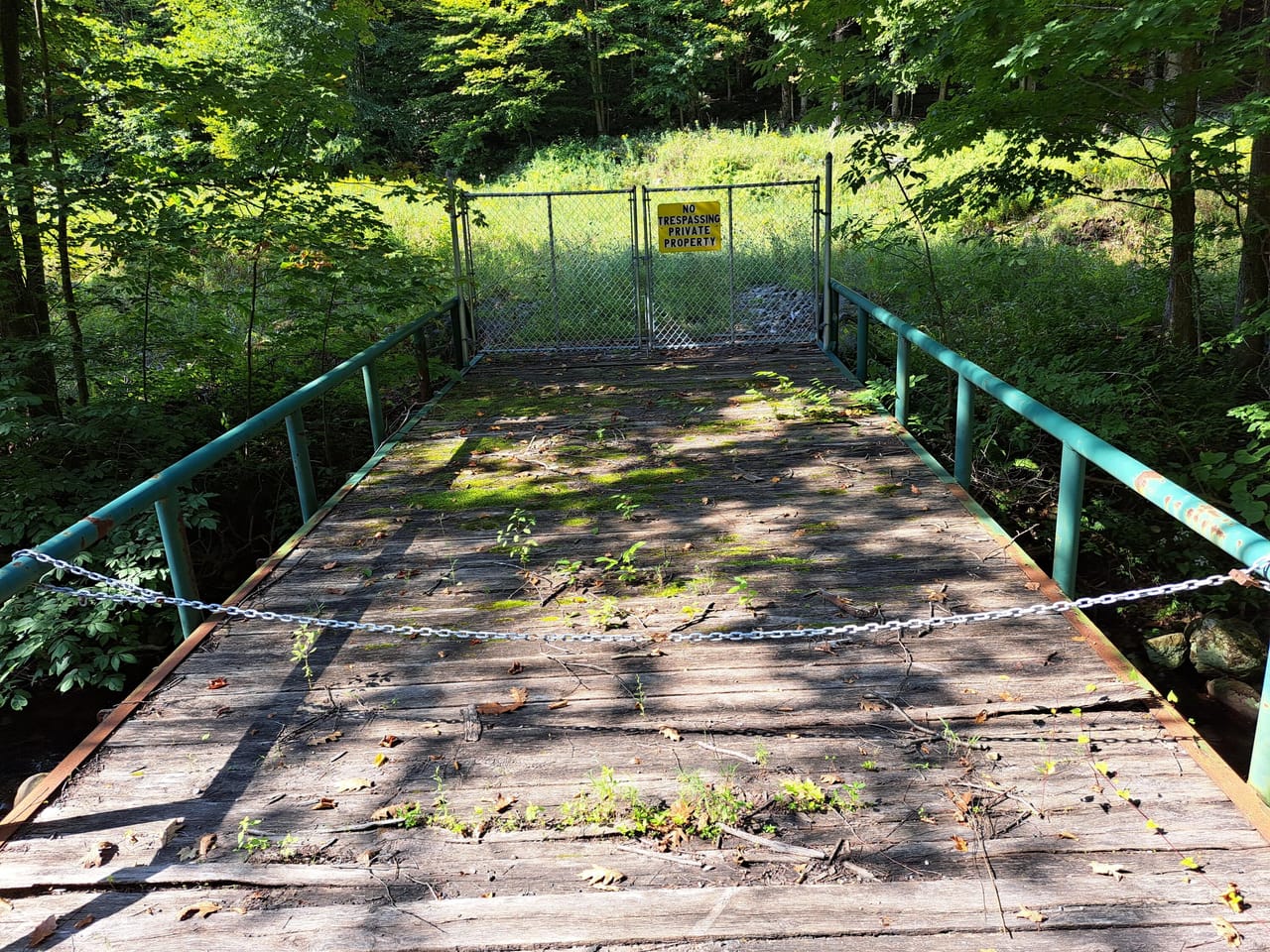 Listing Image 10