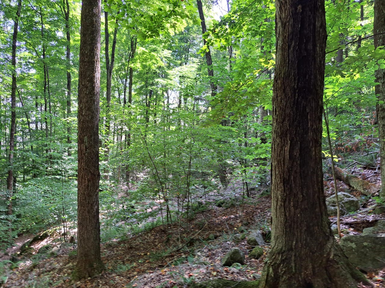 Listing Image 11